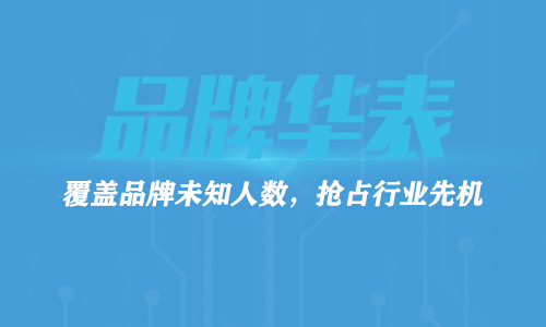 百度品牌华表介绍